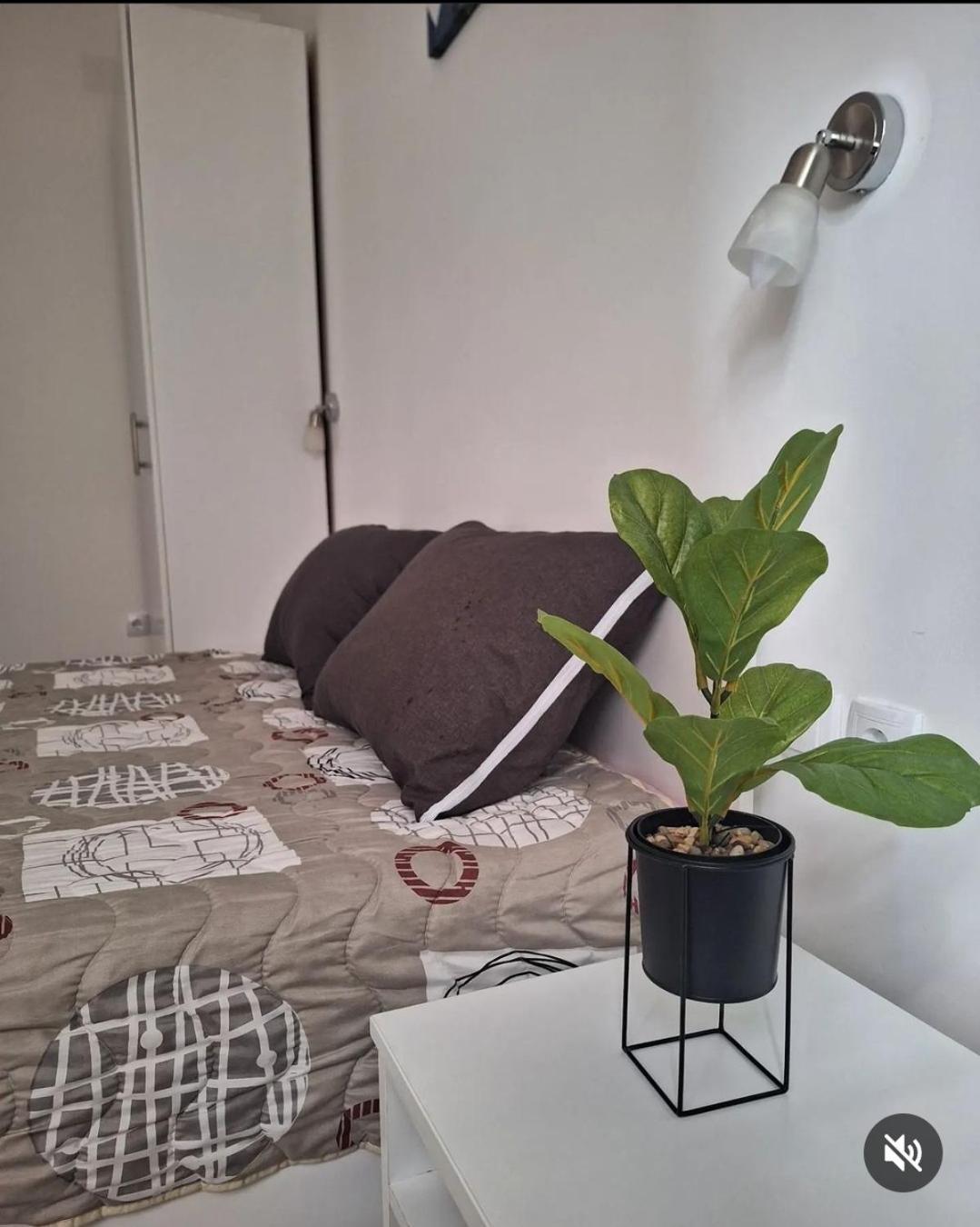 Apartmani Koki 克拉多沃 外观 照片